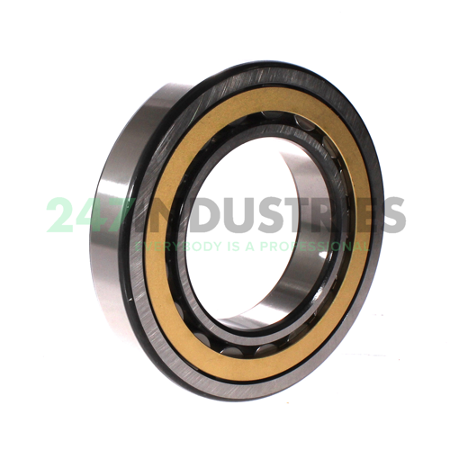 NU219ECM SKF Image 2