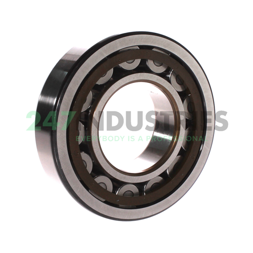 NJ313ECP SKF Image 3