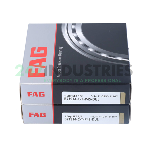 B71914-C-T-P4S-DUL FAG