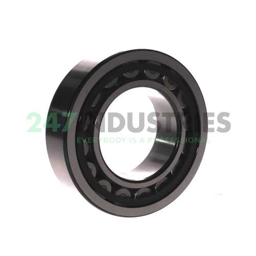 NU2213ECP SKF Image 2