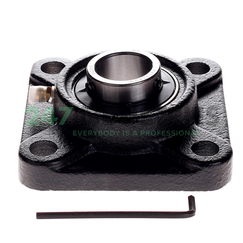 UCF205 Felstrom Image 2