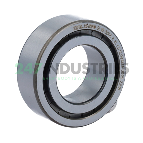 SL183005-A-XL-C3 INA