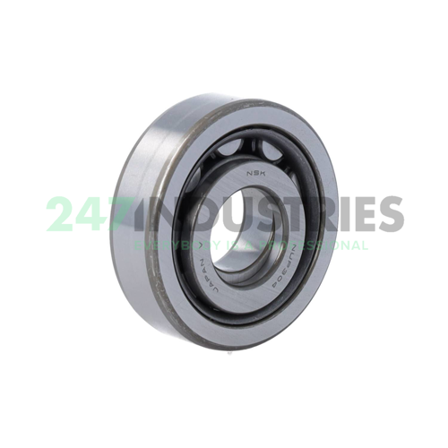 NU306EMCM NSK Image 2