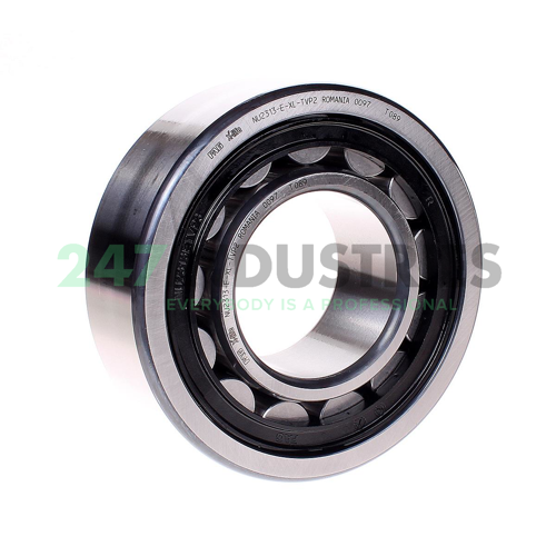 NU2313-E-XL-TVP2 FAG