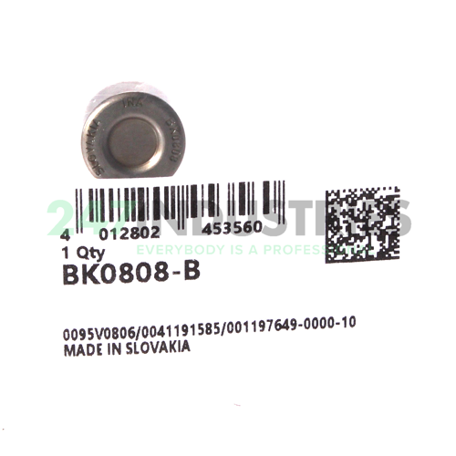 BK0808 INA