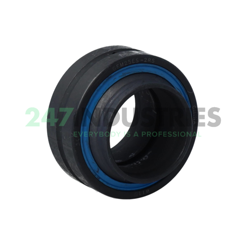 GEM25ES-2RS SKF