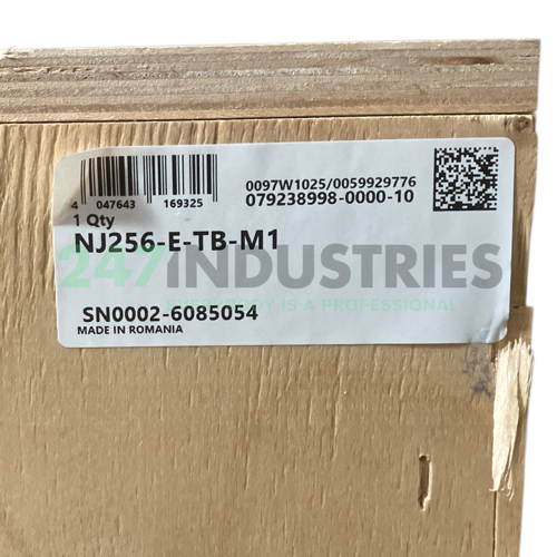 NJ256-E-TB-M1 FAG Image 3
