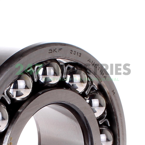 2313 SKF Image 3
