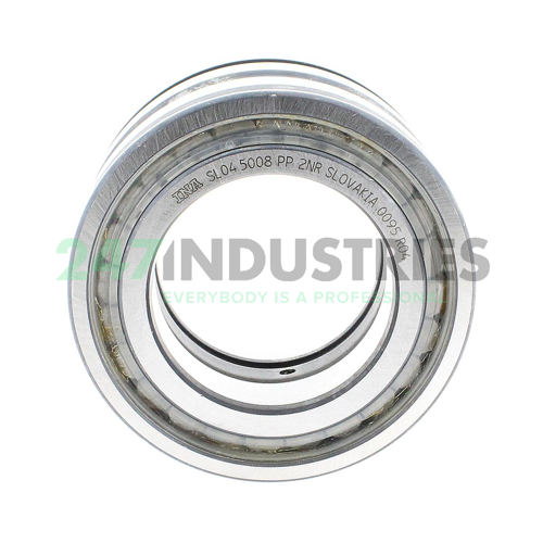 SL045008-PP-2NR INA Image 2