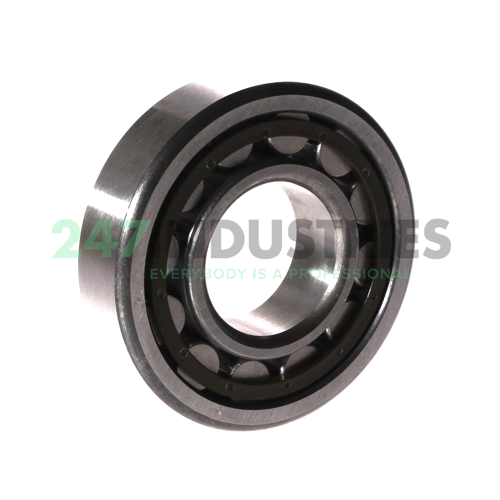 NU307ECP FIS Image 2