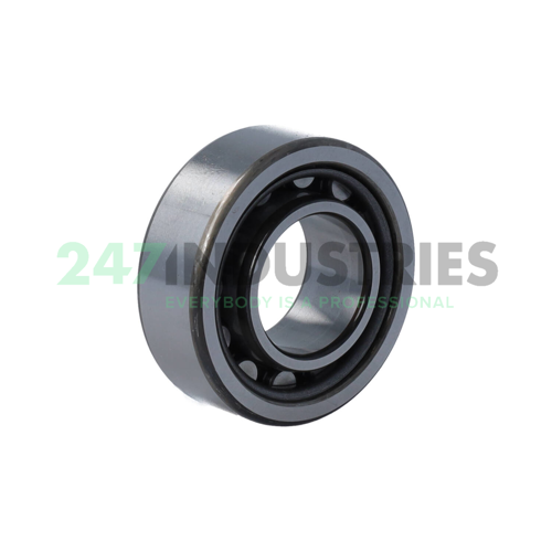 NU2205W C3 NSK Image 2