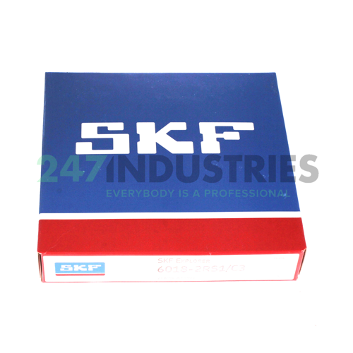 6018-2RS1/C3 SKF Image 3