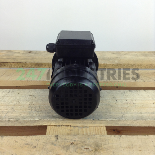 MS6322B35 Gibbons Image 5