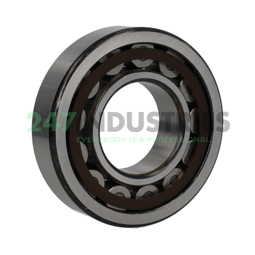 NU311ETC3 NSK Image 3