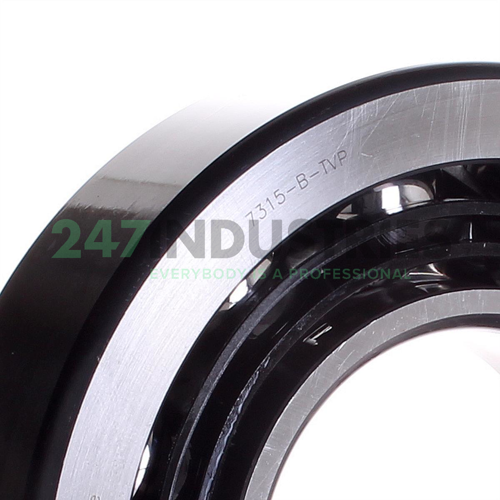 7315-B-TVP FAG Image 2