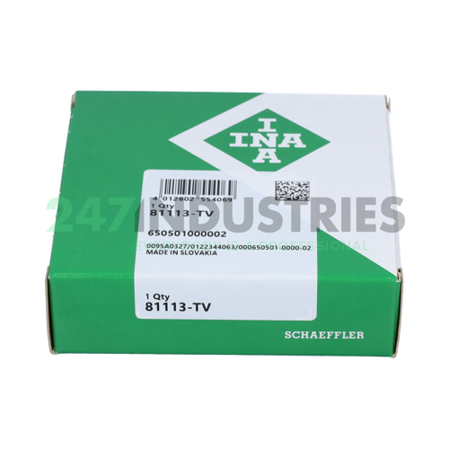 81113-TV INA Image 4