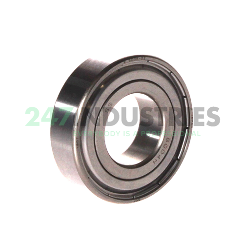 W6004-2Z SKF