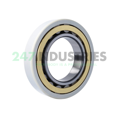 NU222-E-XL-M1-J20AA-C3 FAG Image 2