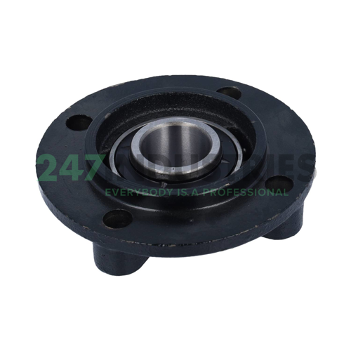 UCFC206 Felstrom Image 2