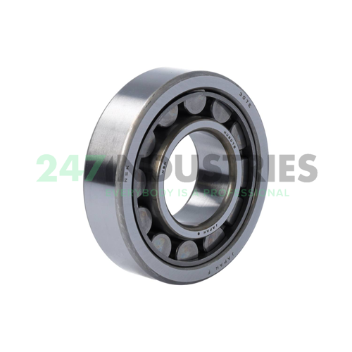 RNU307EW NSK
