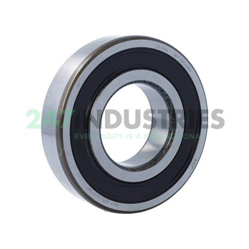 6313-2RS1/HC5C3WT SKF