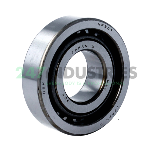 NF307W NSK