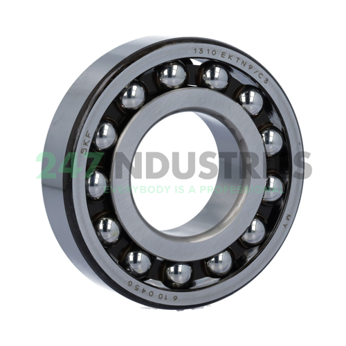 1310EKTN9/C3 SKF