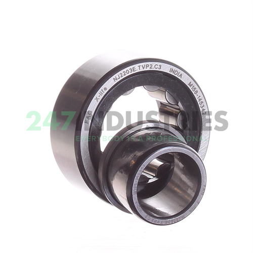 NJ2203E.TVP2.C3 FAG Image 2