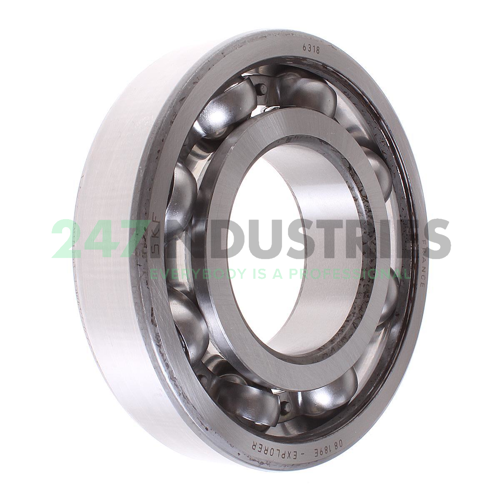 6318 SKF