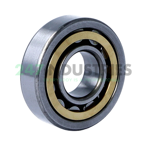 NU305EMCM NSK Image 2