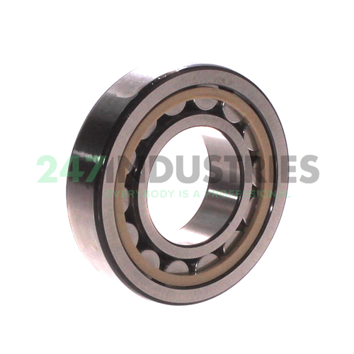 NJ207ECPH/C4 SKF Image 2