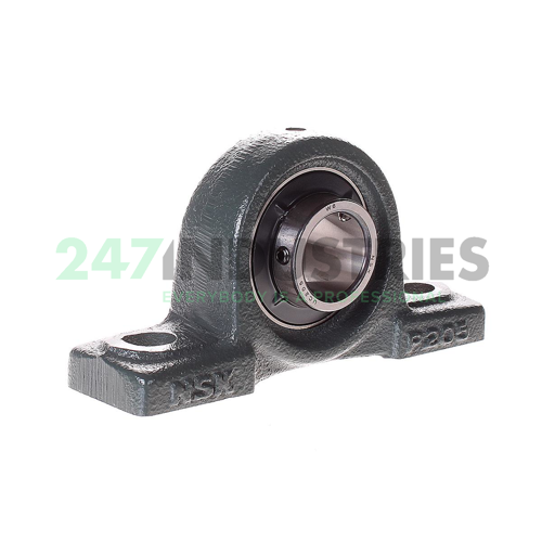 UCP205D1 NSK