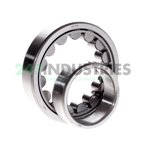 NU209EW NSK Image 2