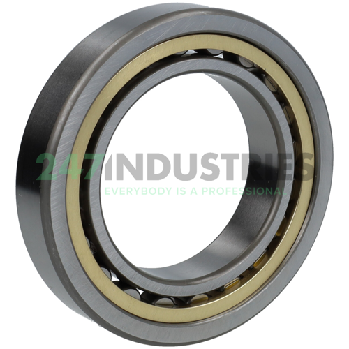 NU1011MM NSK Image 2
