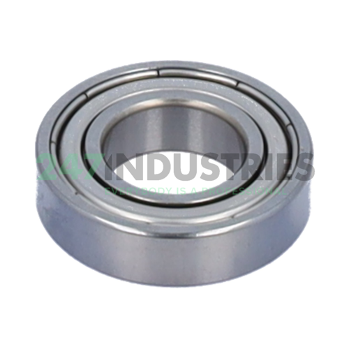 W61901-2Z SKF