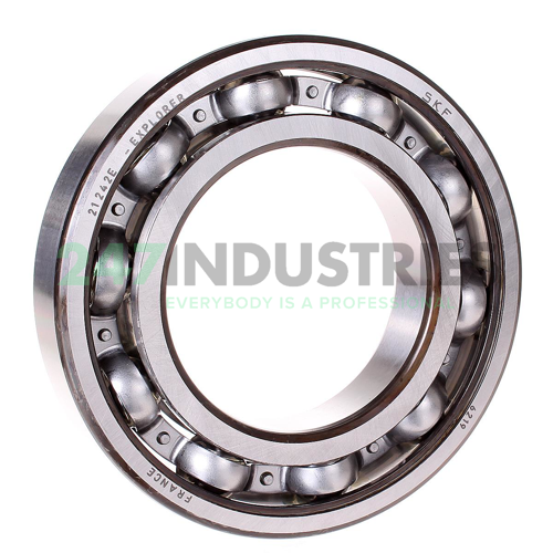 6219 SKF