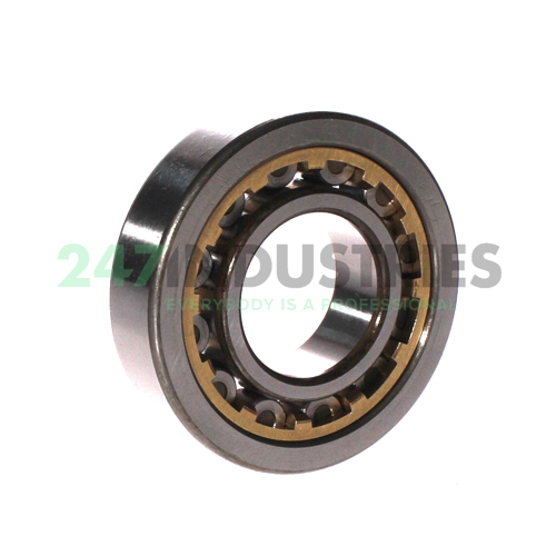 NU308G1 C3 NTN Image 2