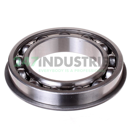 6016NR SKF Image 2