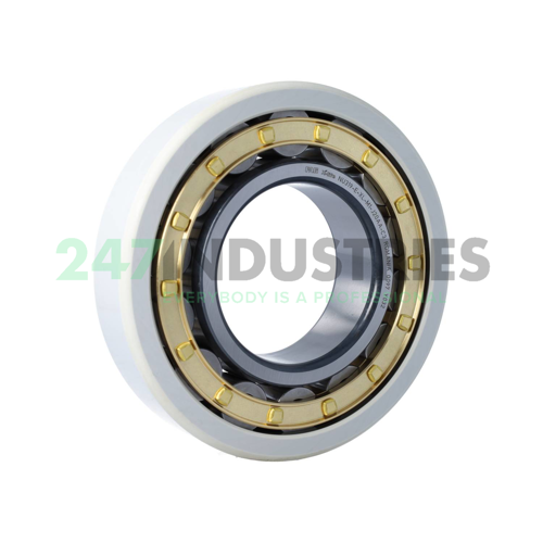 NU319-E-XL-M1-J20AA-C3 FAG