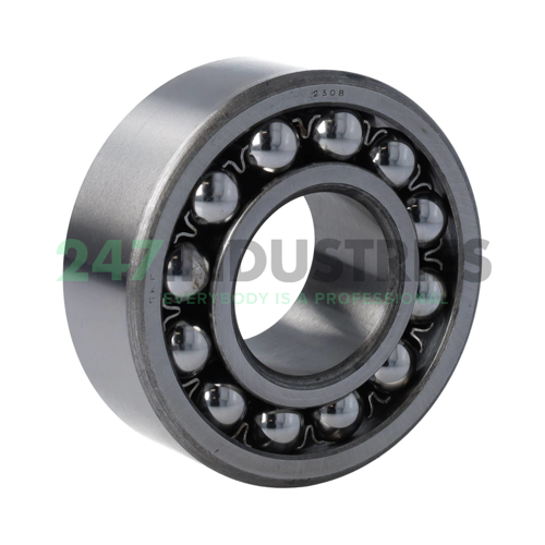 2308 SKF