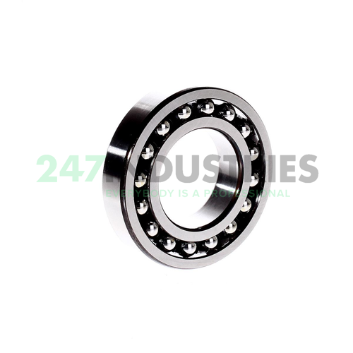 1209TNG C3 NSK Image 2