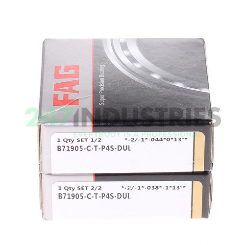 B71905-C-T-P4S-DUL FAG Image 2