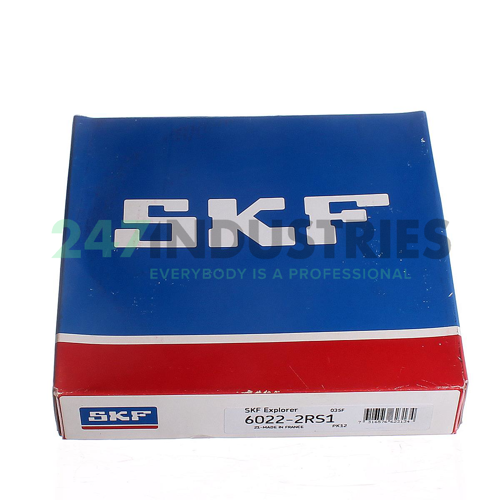 6022-2RS1 SKF Image 4
