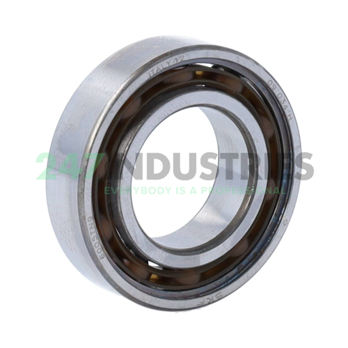 6005TN9 SKF
