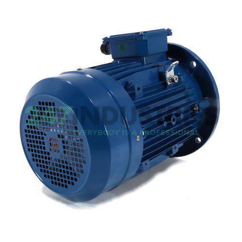 IE1-MSE132M2-2-B5 Cemp Image 3