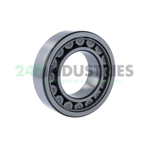 NJ2213ECJ/C3 SKF Image 2