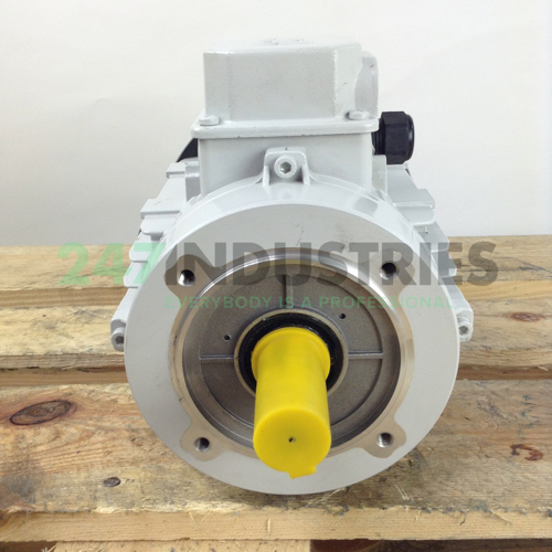 TN100A/4-B14 MT Motori Elettrici Image 3