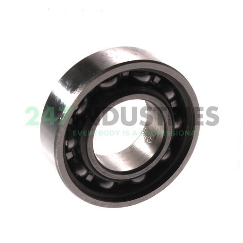 6003-RS1 SKF Image 2
