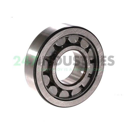 NU1013ML SKF Image 2