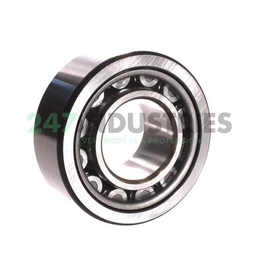 NU2311WC3 NSK Image 2